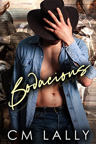 Bodacious book cover