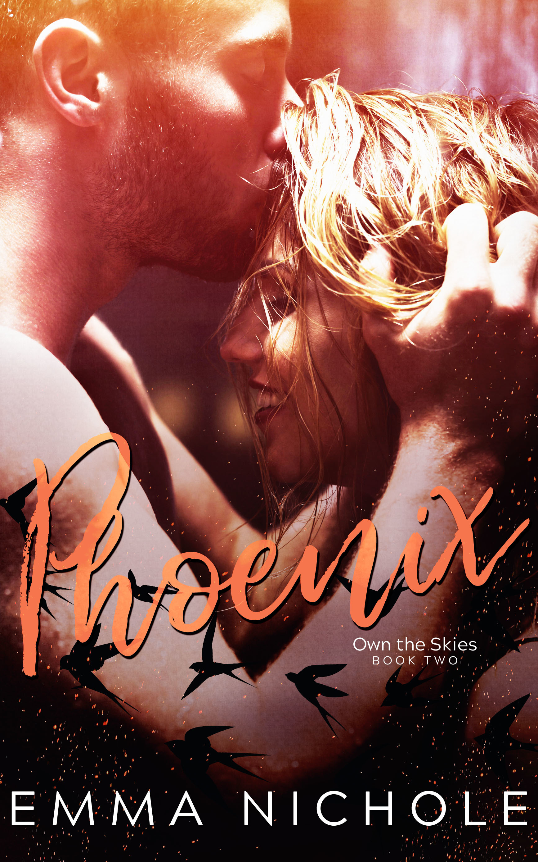 Own The Skies book cover 2