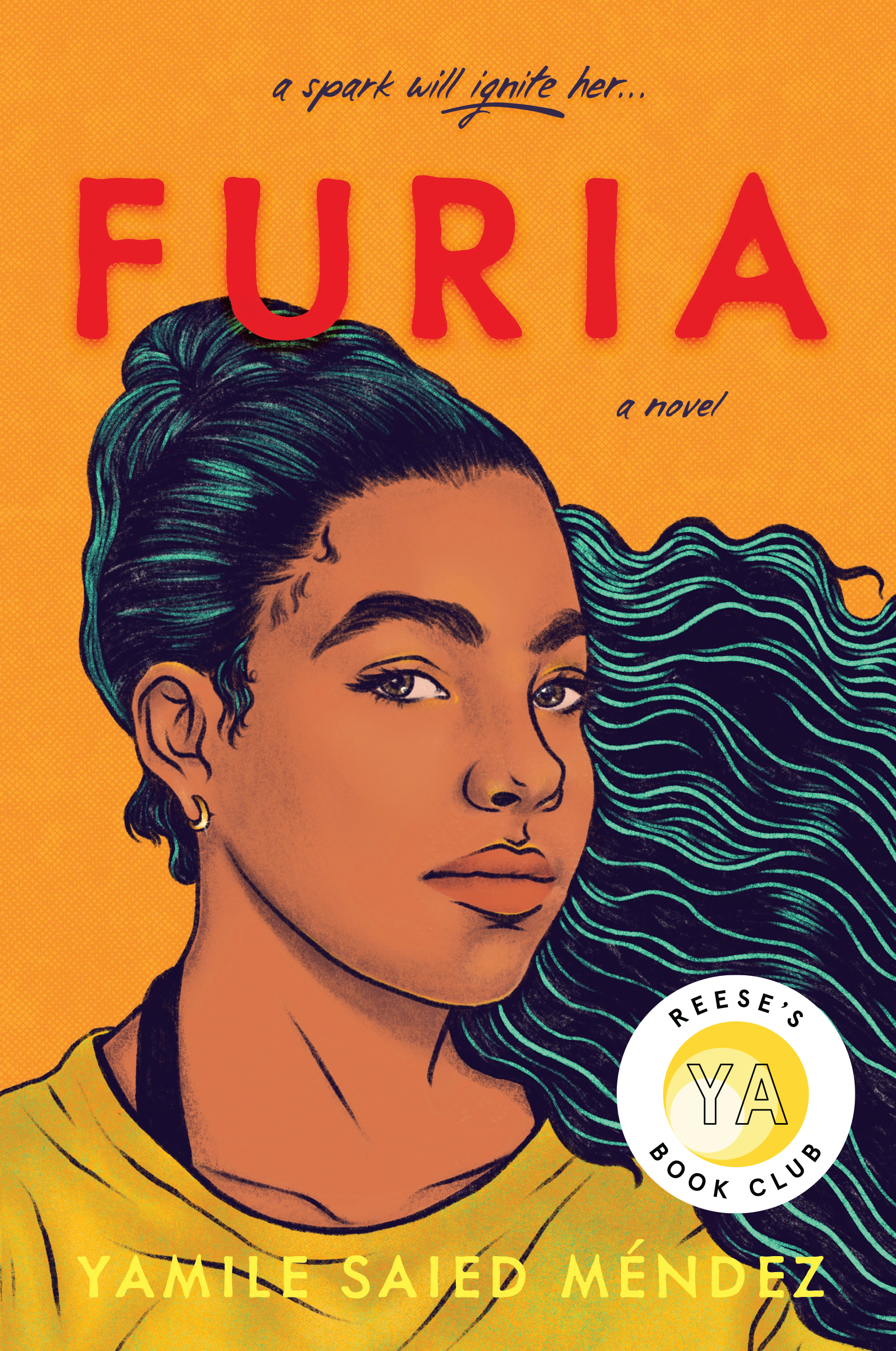 Furia book cover