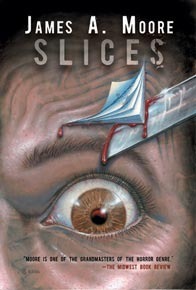 Slices book cover