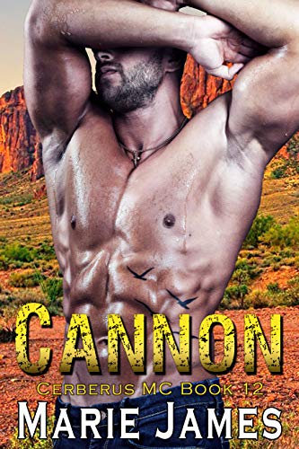 Cannon book cover