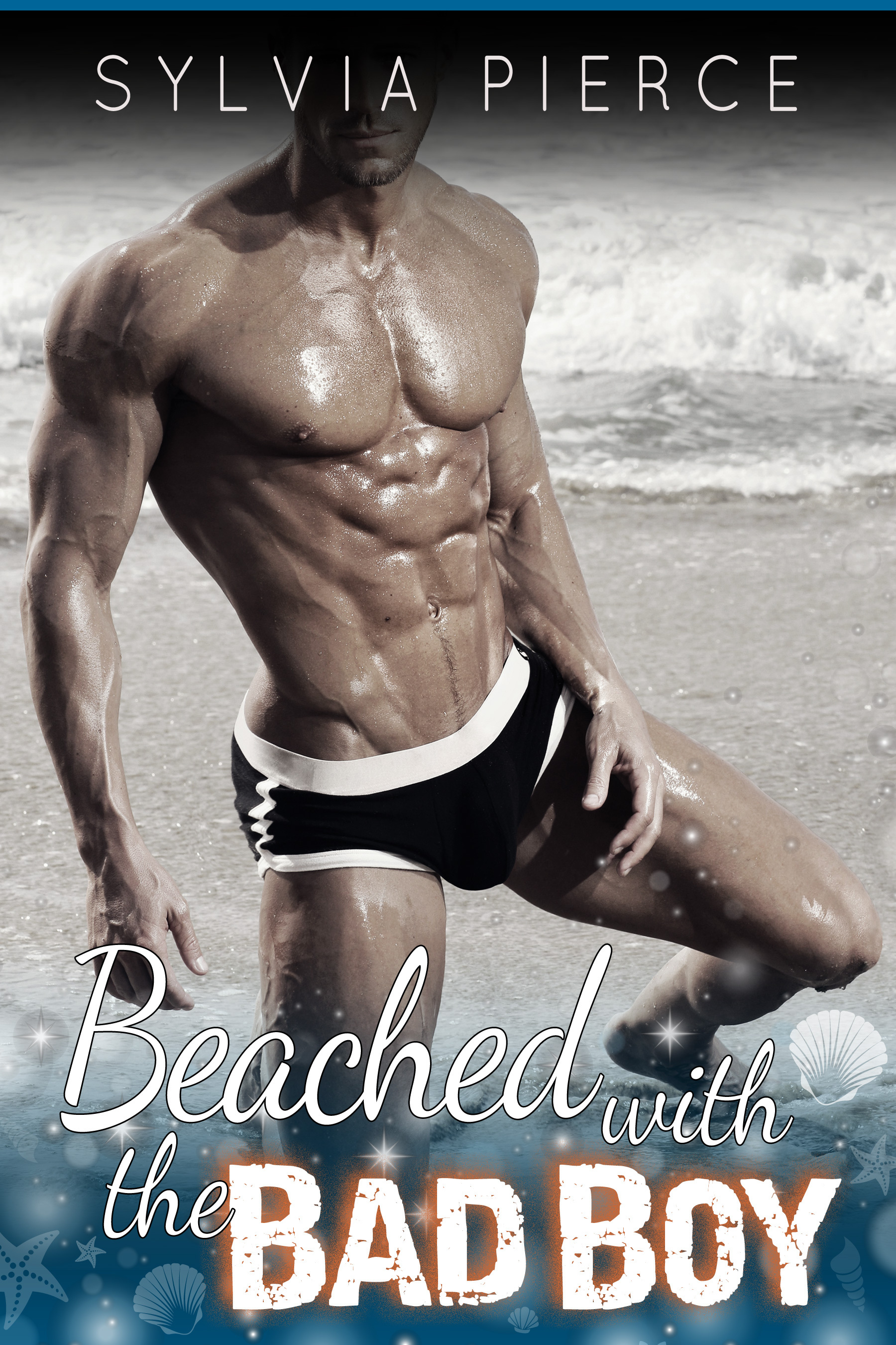 Bad Boys on Holiday book cover 3