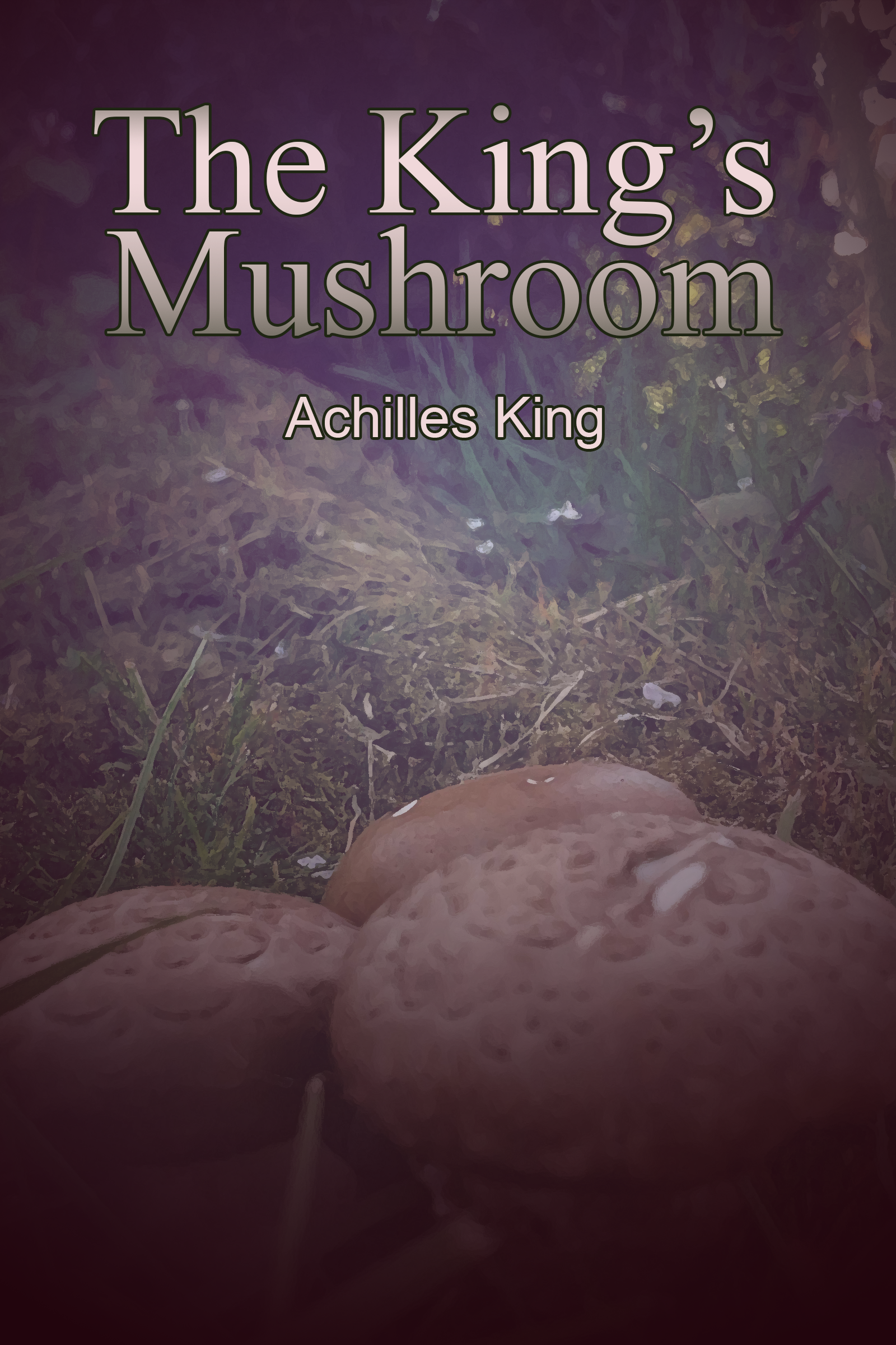 The King's Mushroom book cover