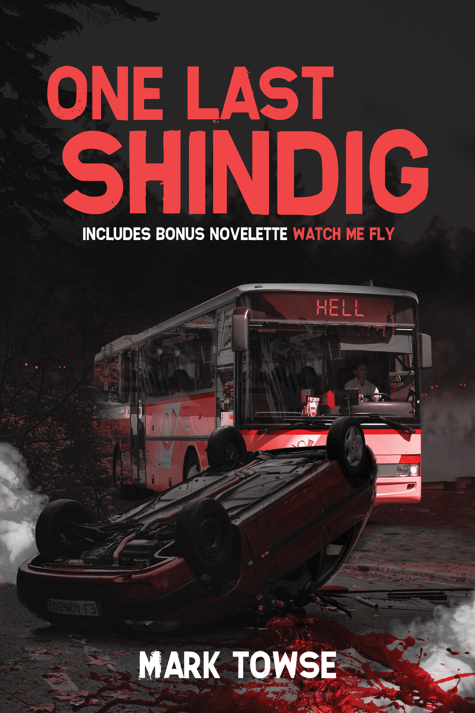One Last Shindig book cover