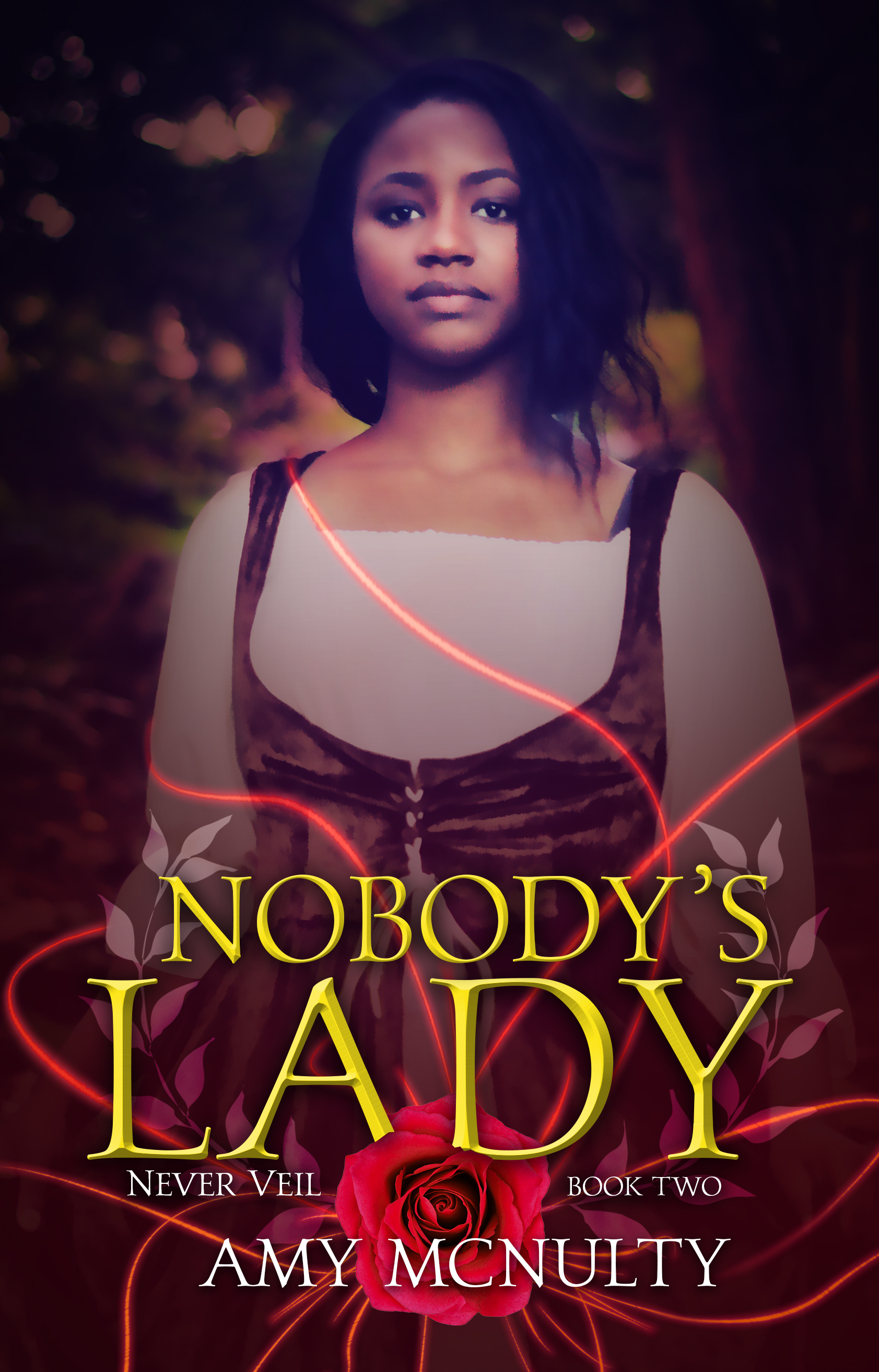 Never Veil book cover 2
