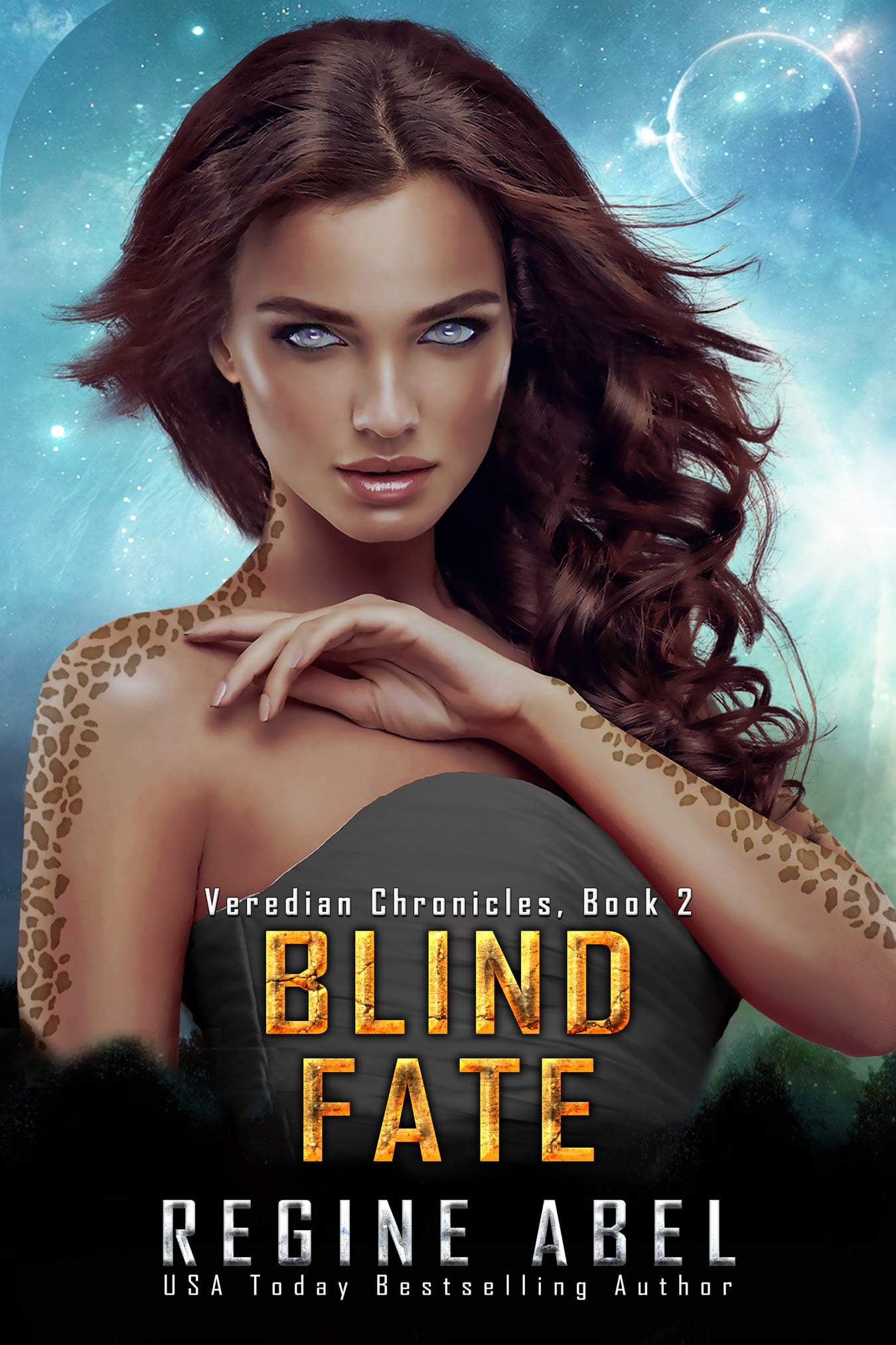 Veredian Chronicles book cover 2