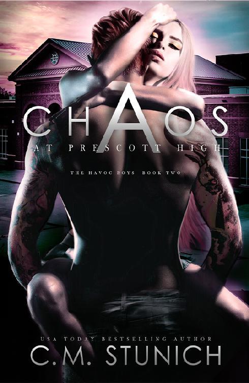 The Havoc Boys book cover 2