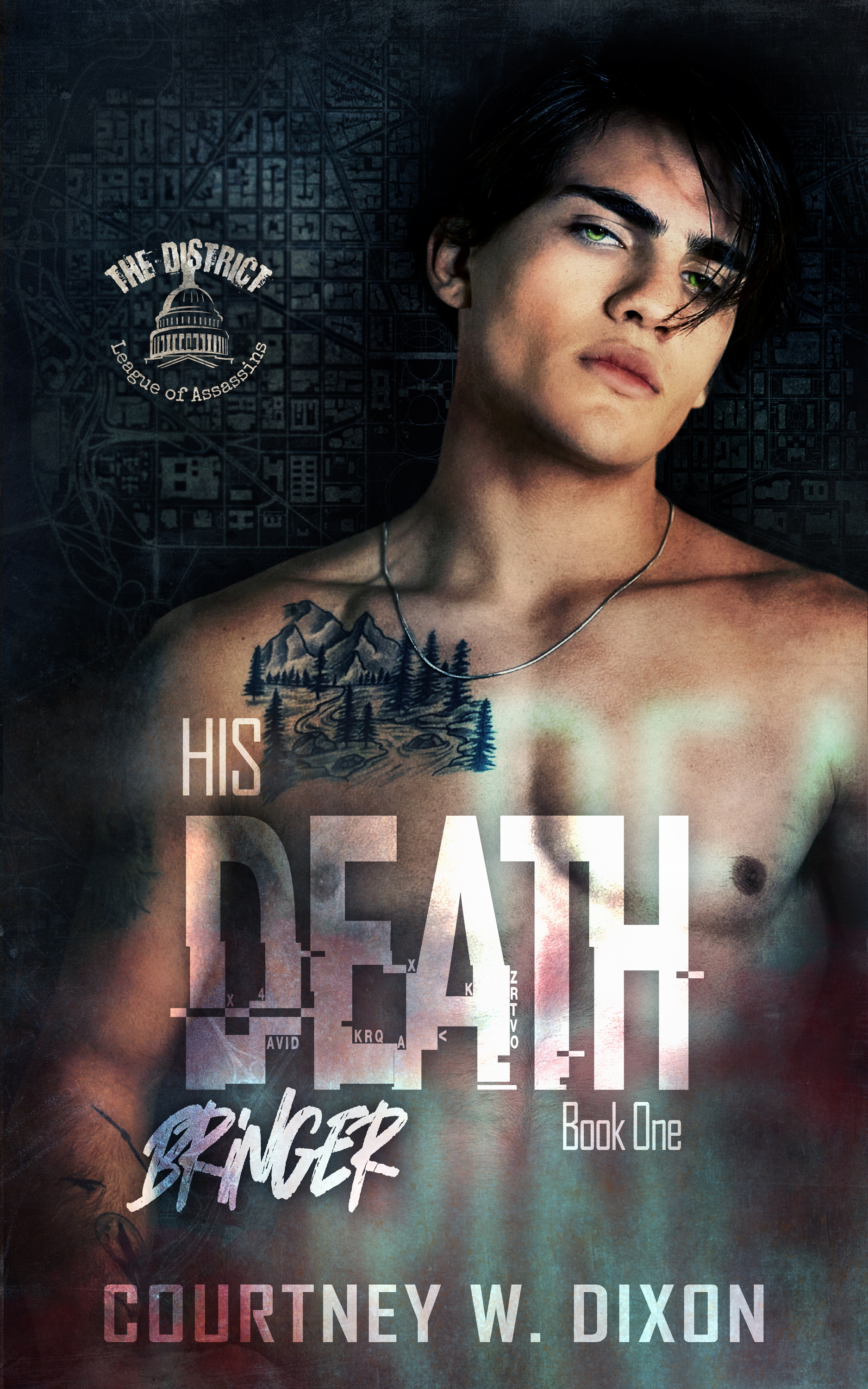 The District book cover 1