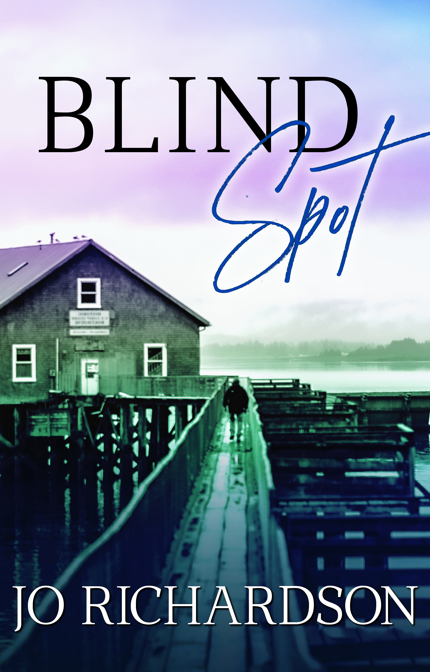 Blind Spot book cover