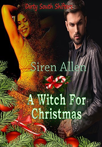 A Witch For Christmas book cover