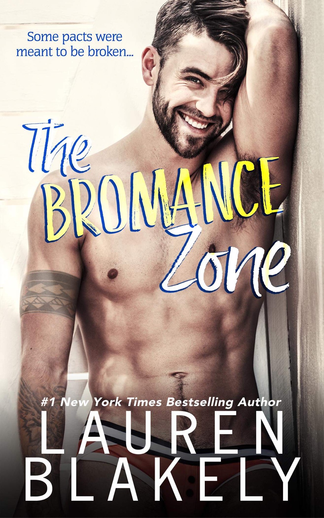 The Bromance Zone book cover