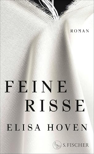 Feine Risse book cover