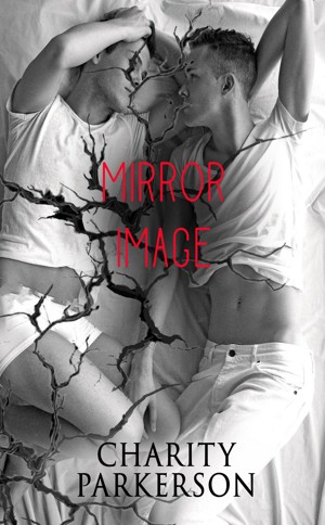 Mirror Image book cover