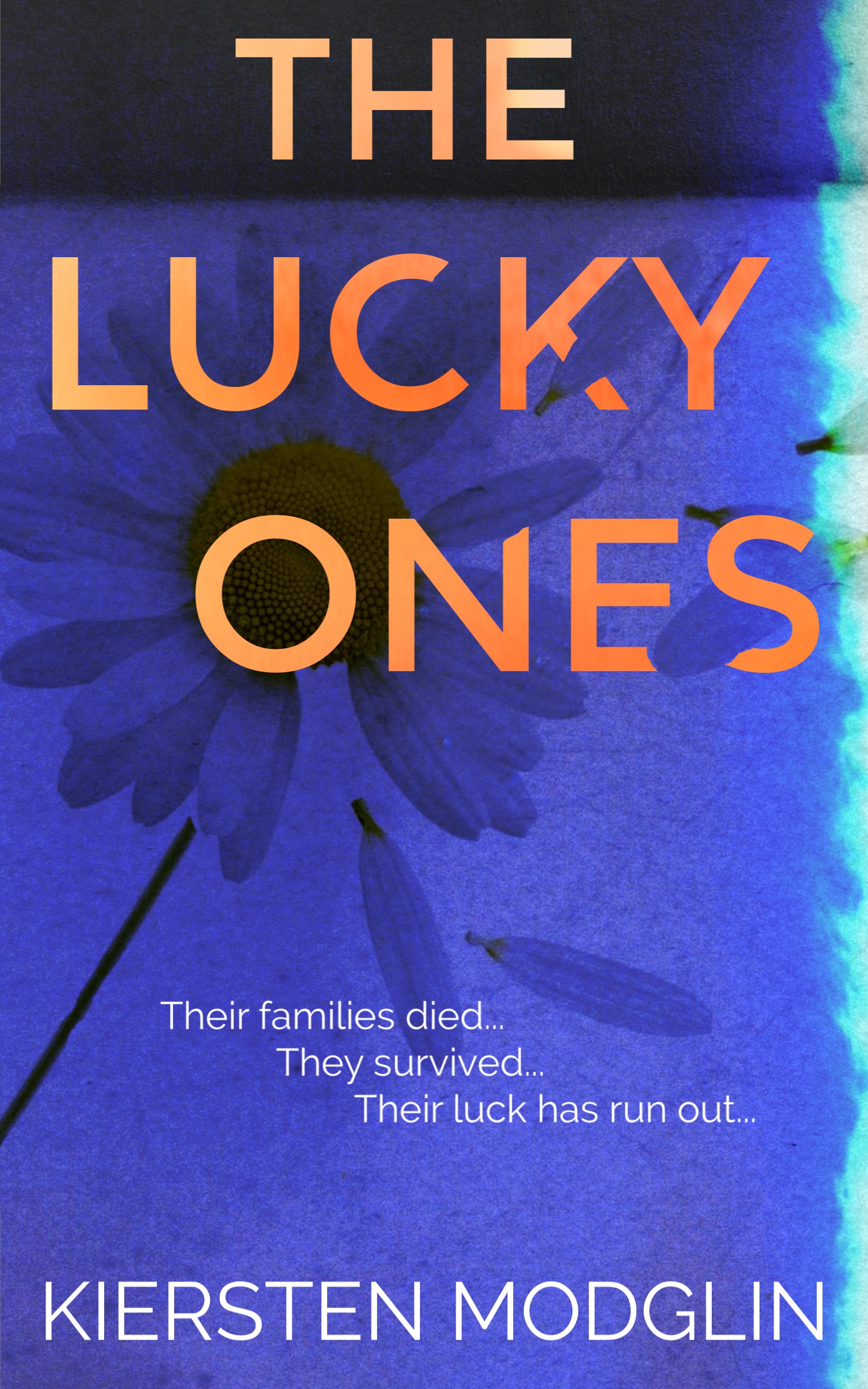 The Lucky Ones book cover