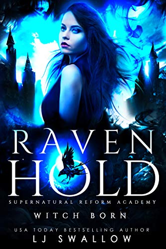 Ravenhold book cover 1