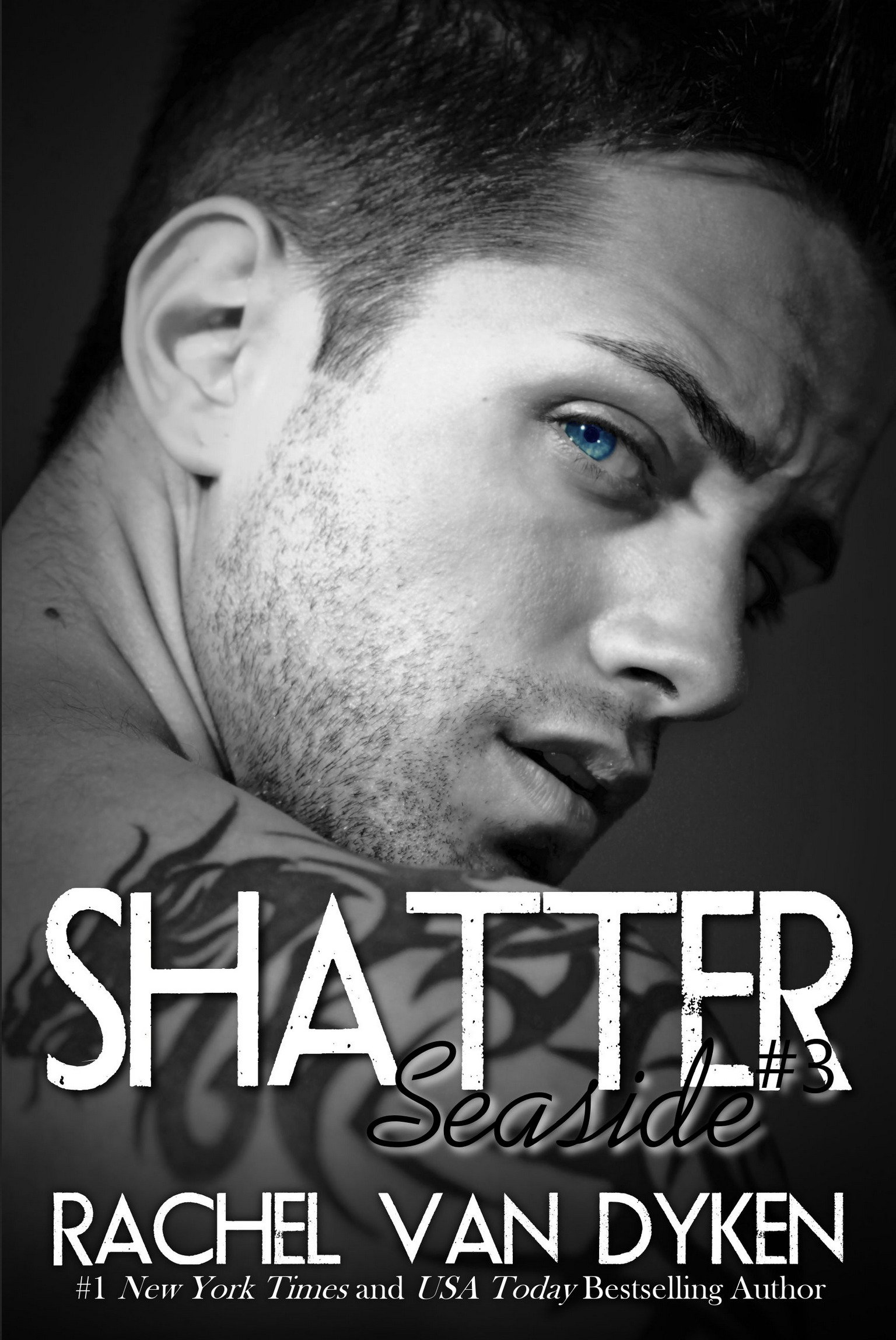 Seaside book cover 3
