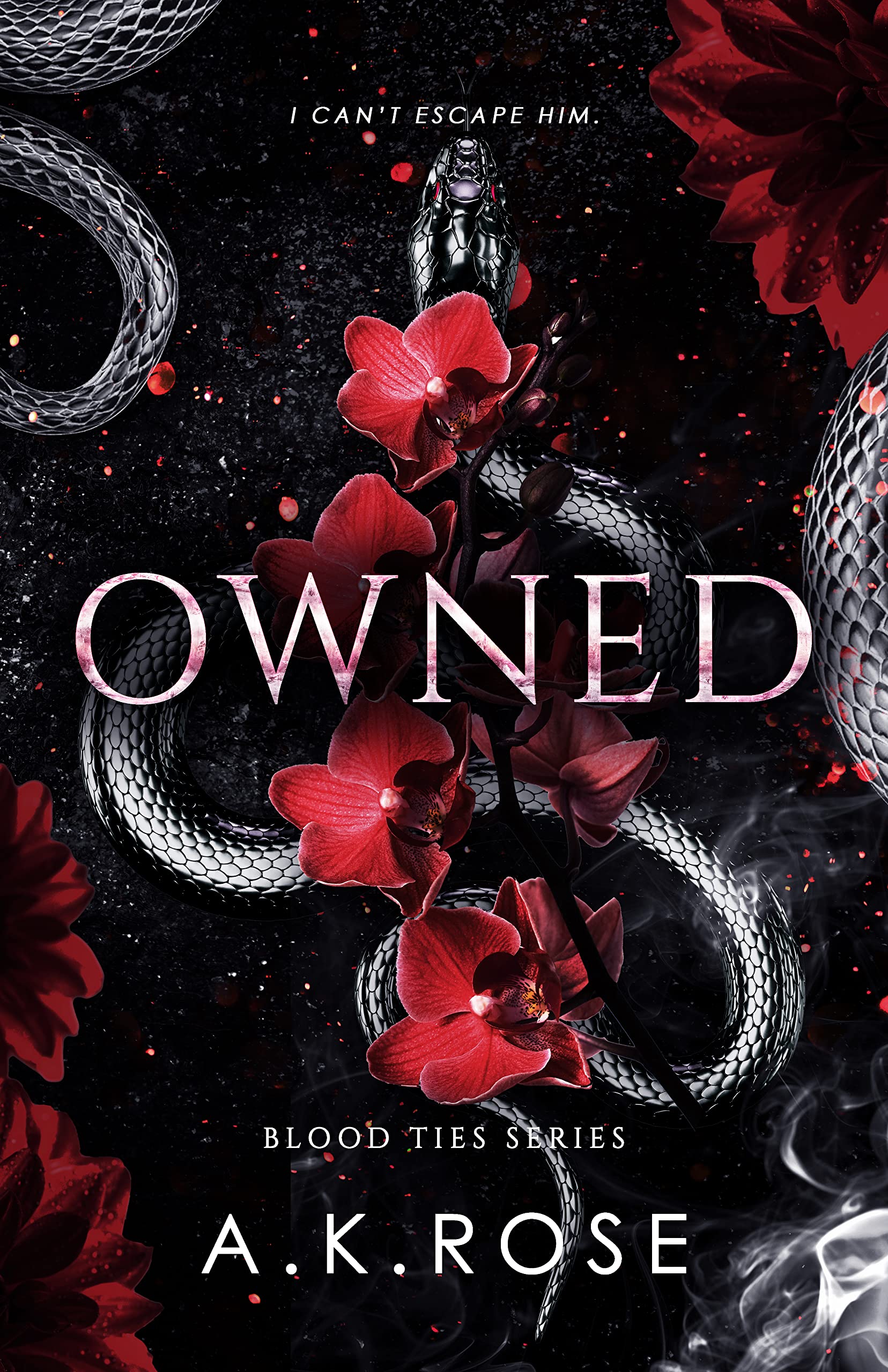 Owned book cover