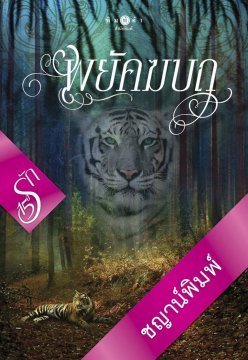 15 ปี 15 รัก book cover 2