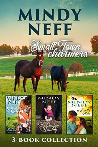 Small Town Charmers book cover