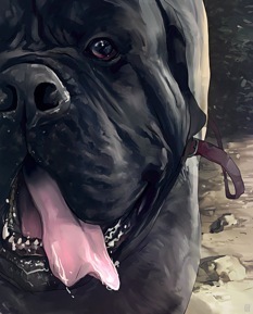 Mastiff book cover