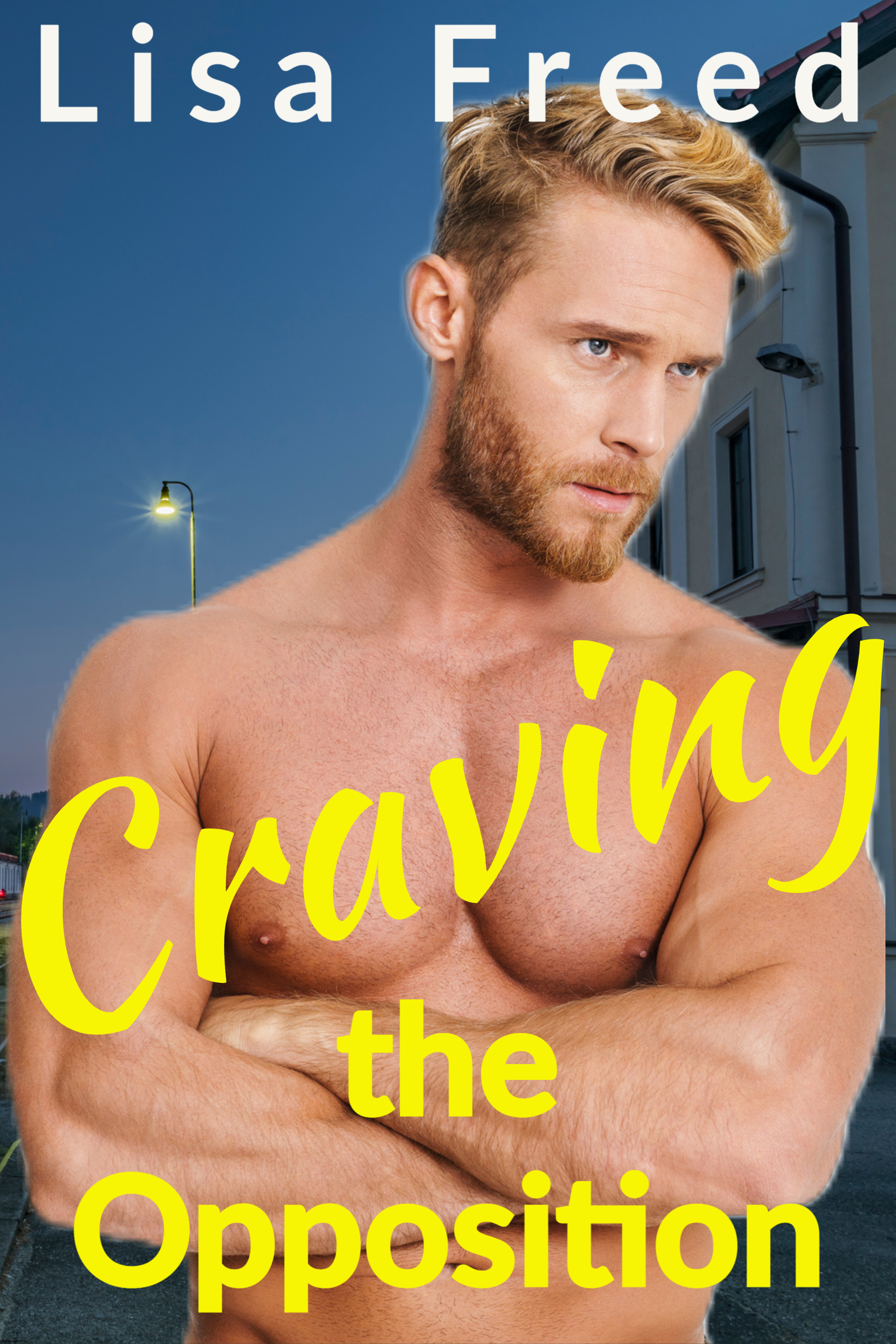 Craving the Opposition book cover