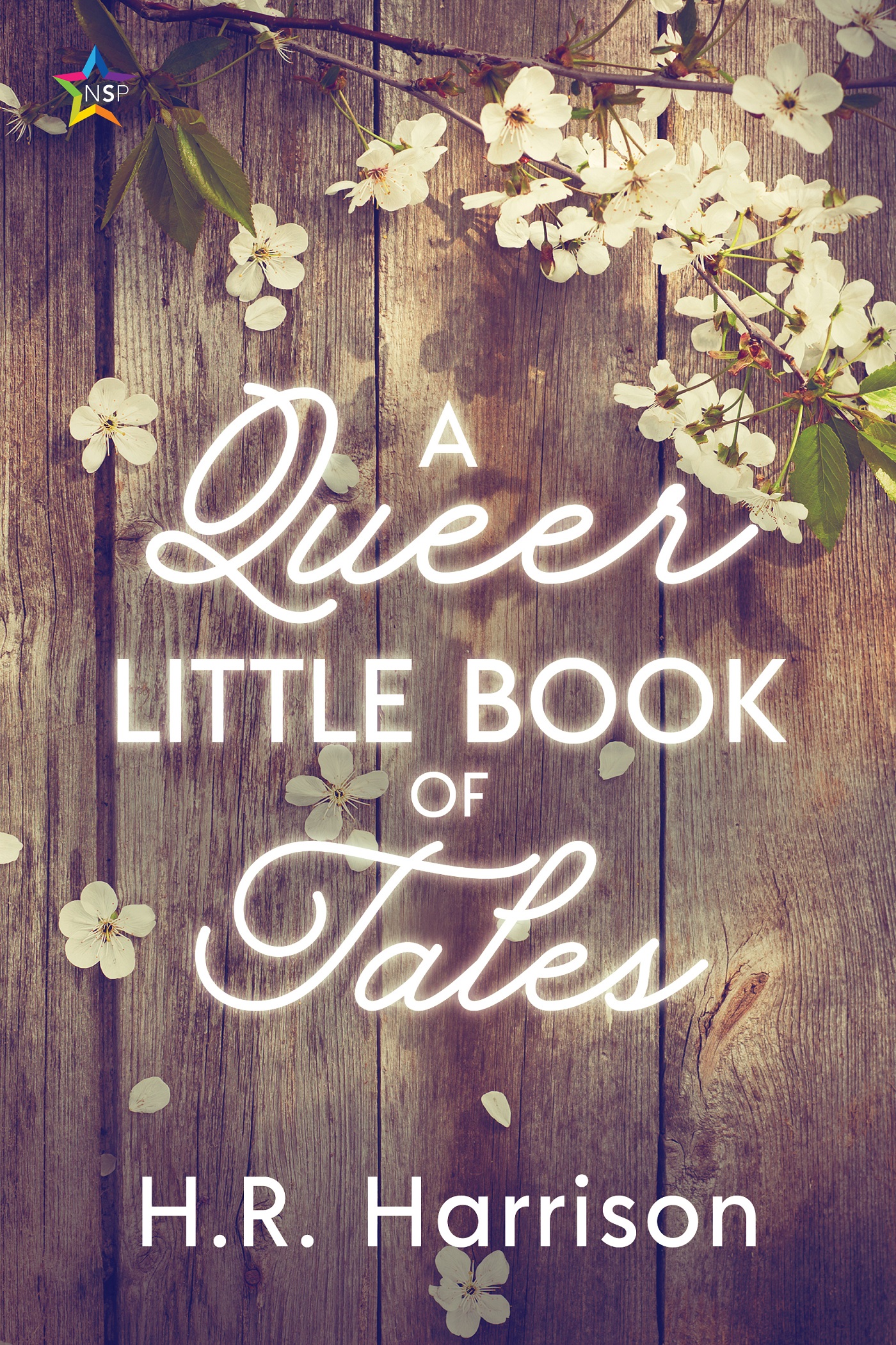 A Queer Little Book of Tales book cover