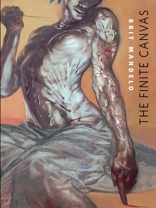 The Finite Canvas book cover