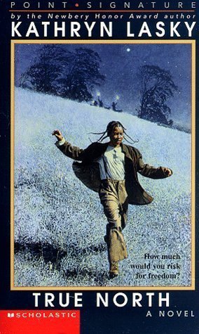 True North book cover