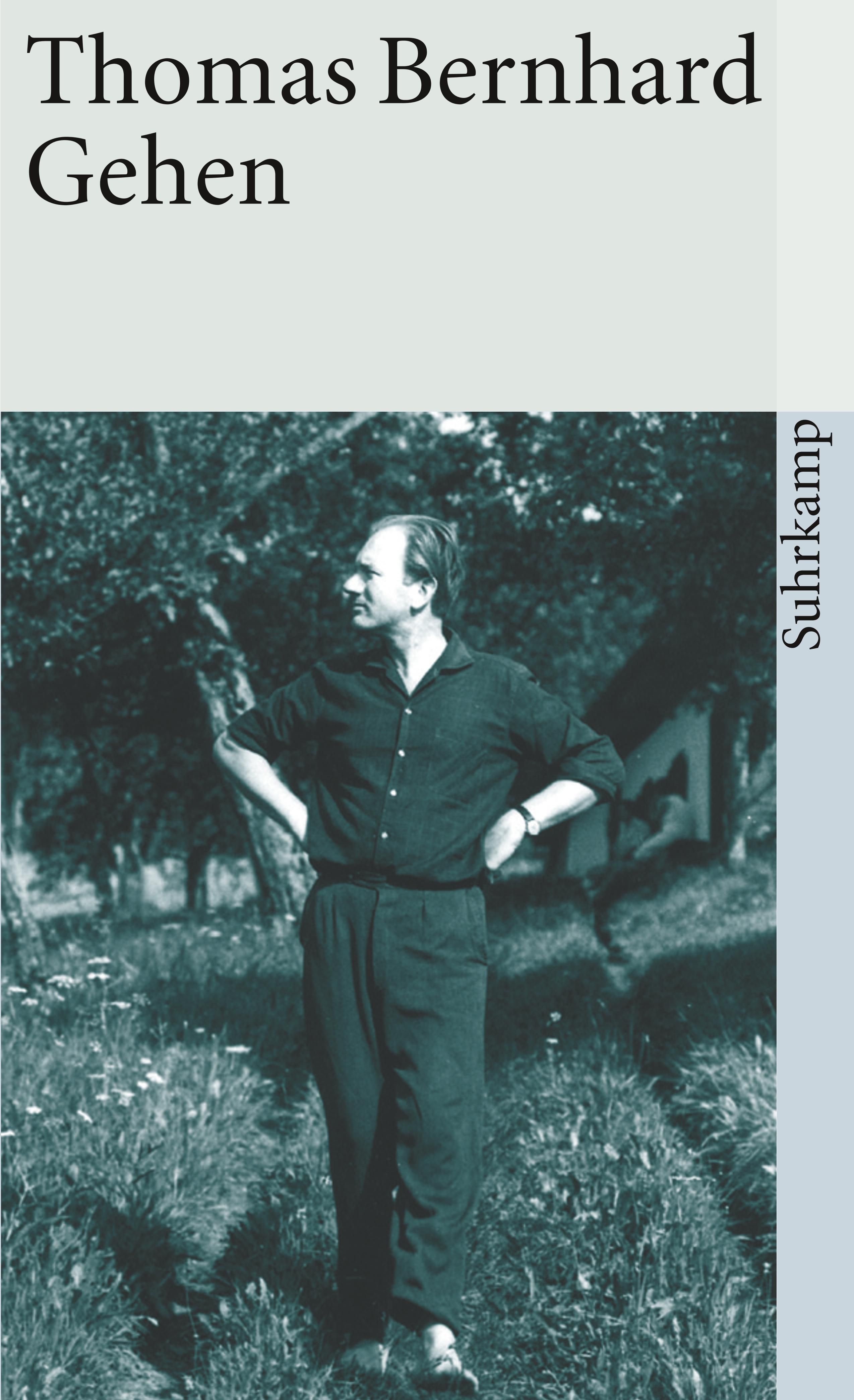 Walking book cover