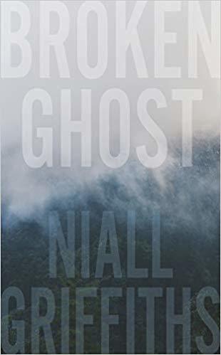Broken Ghost book cover