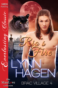 Rio's Fire book cover