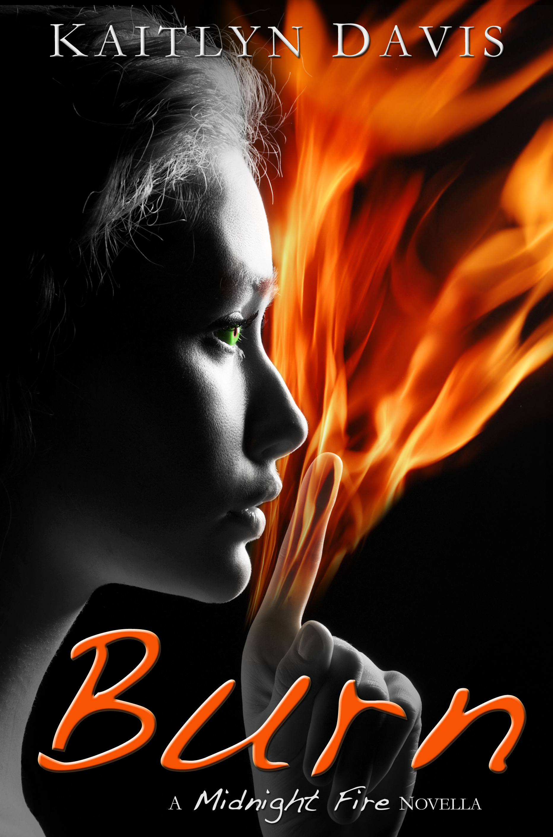 Burn book cover