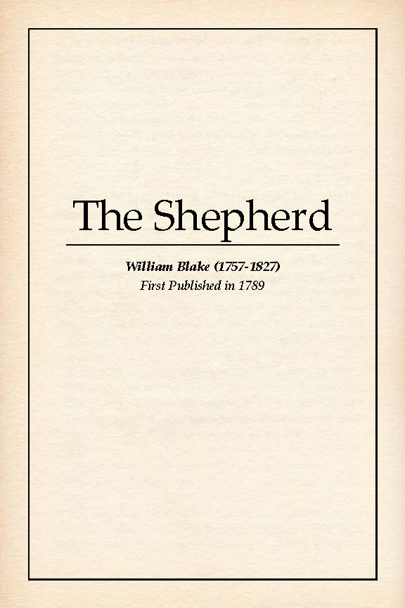 The Shepherd book cover