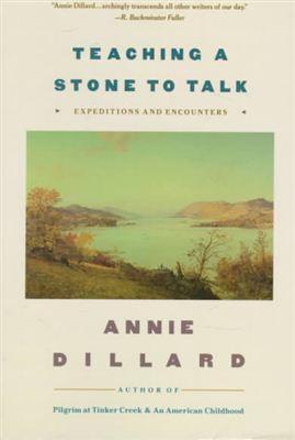 Teaching a Stone to Talk book cover
