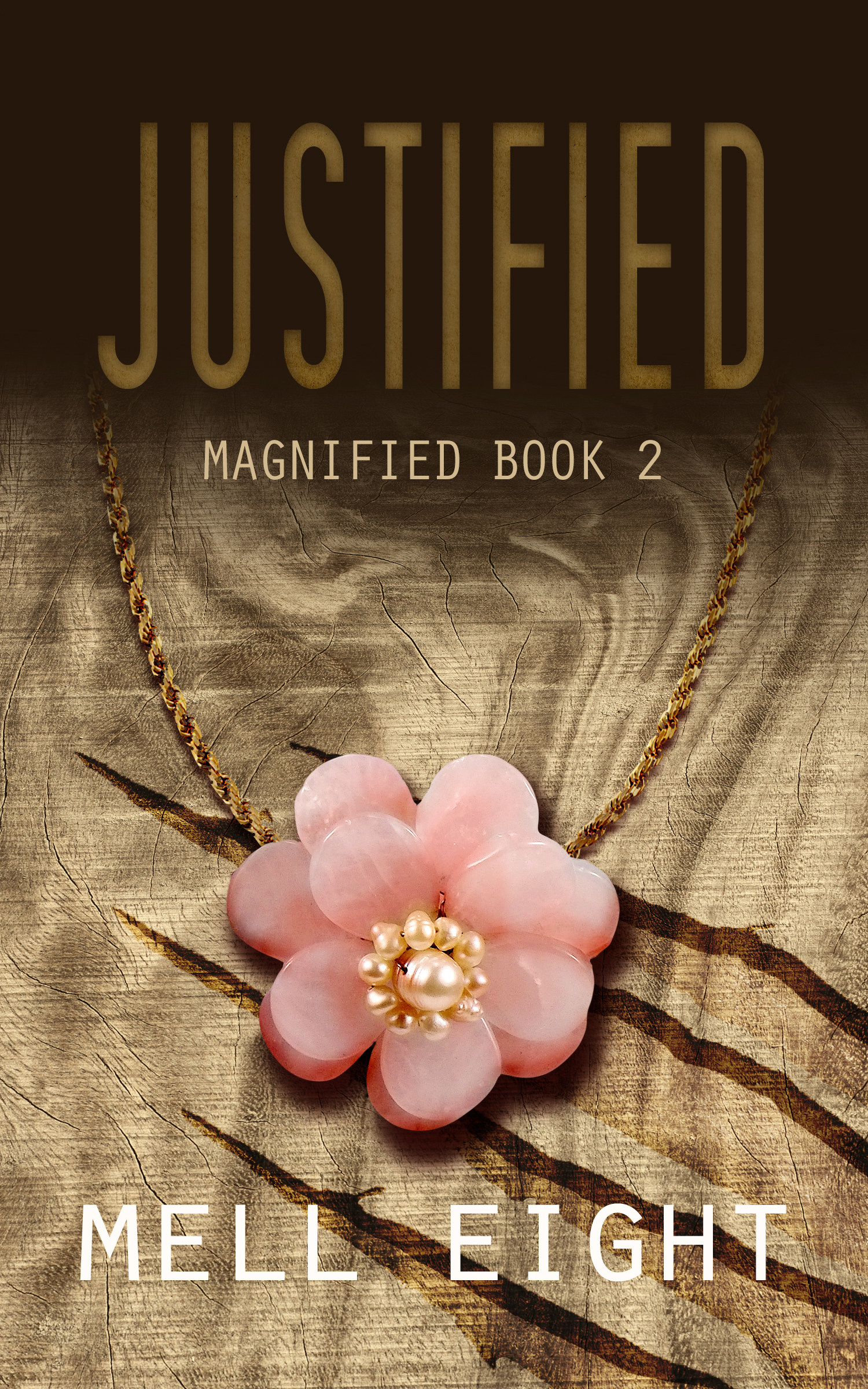 Magnified book cover 2