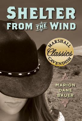 Shelter from the Wind book cover