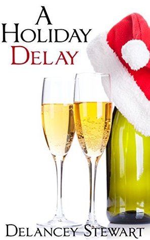 A Holiday Delay book cover