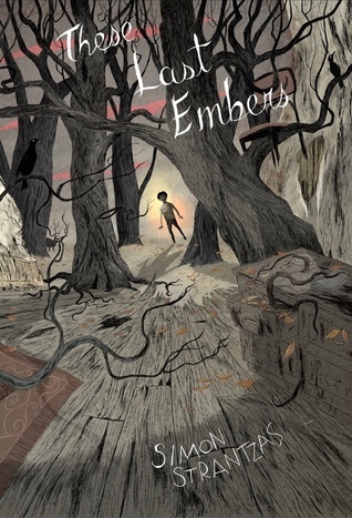 These Last Embers book cover