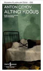The Sixth Ward book cover