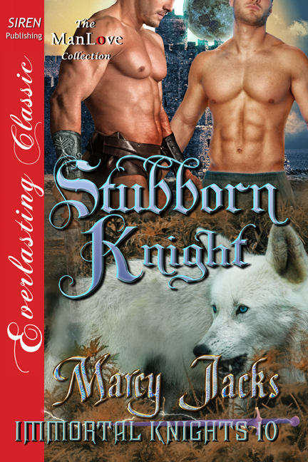 Stubborn Knight book cover