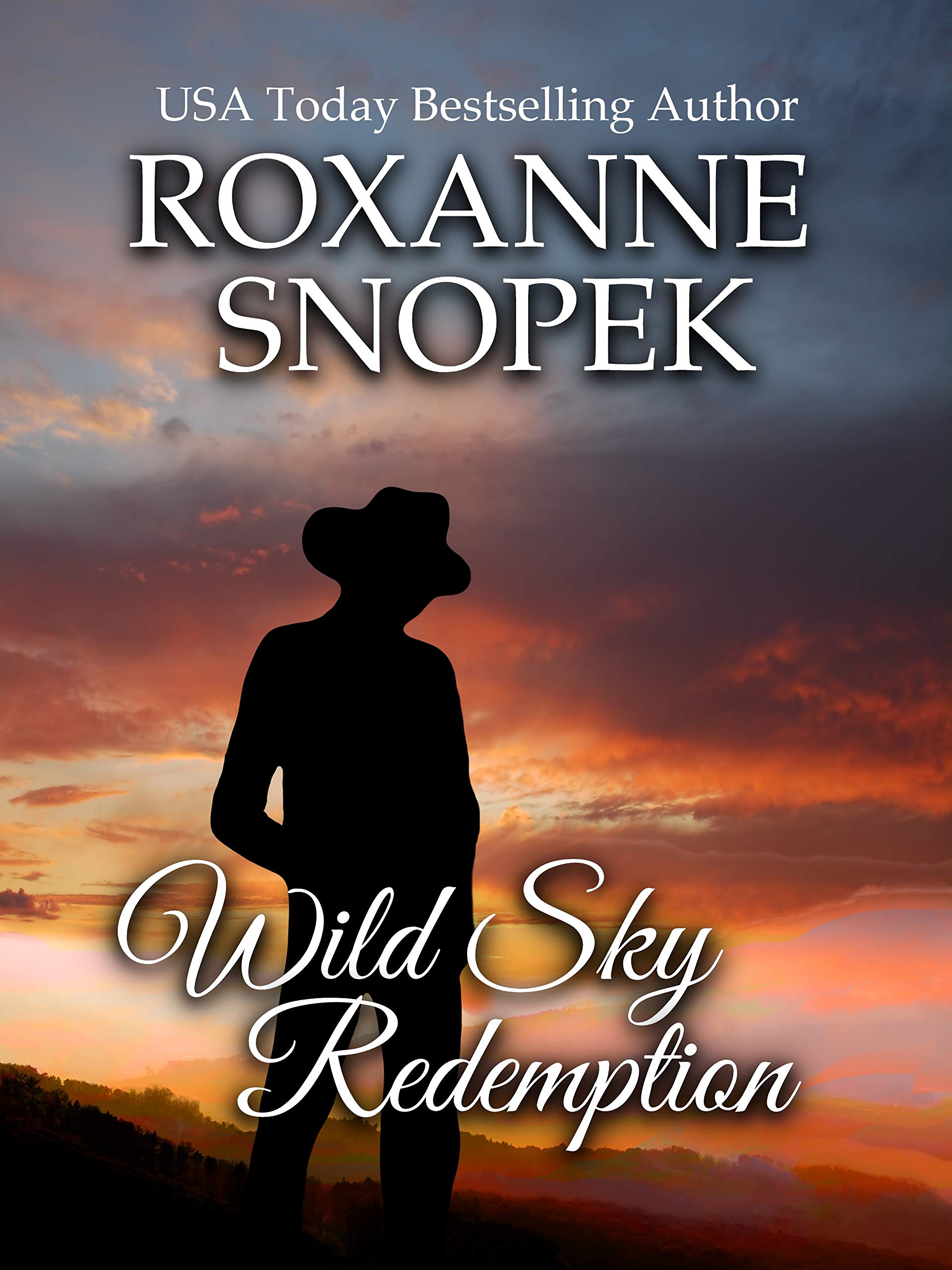 Wild Sky Redemption book cover