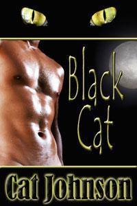 Black Cat book cover