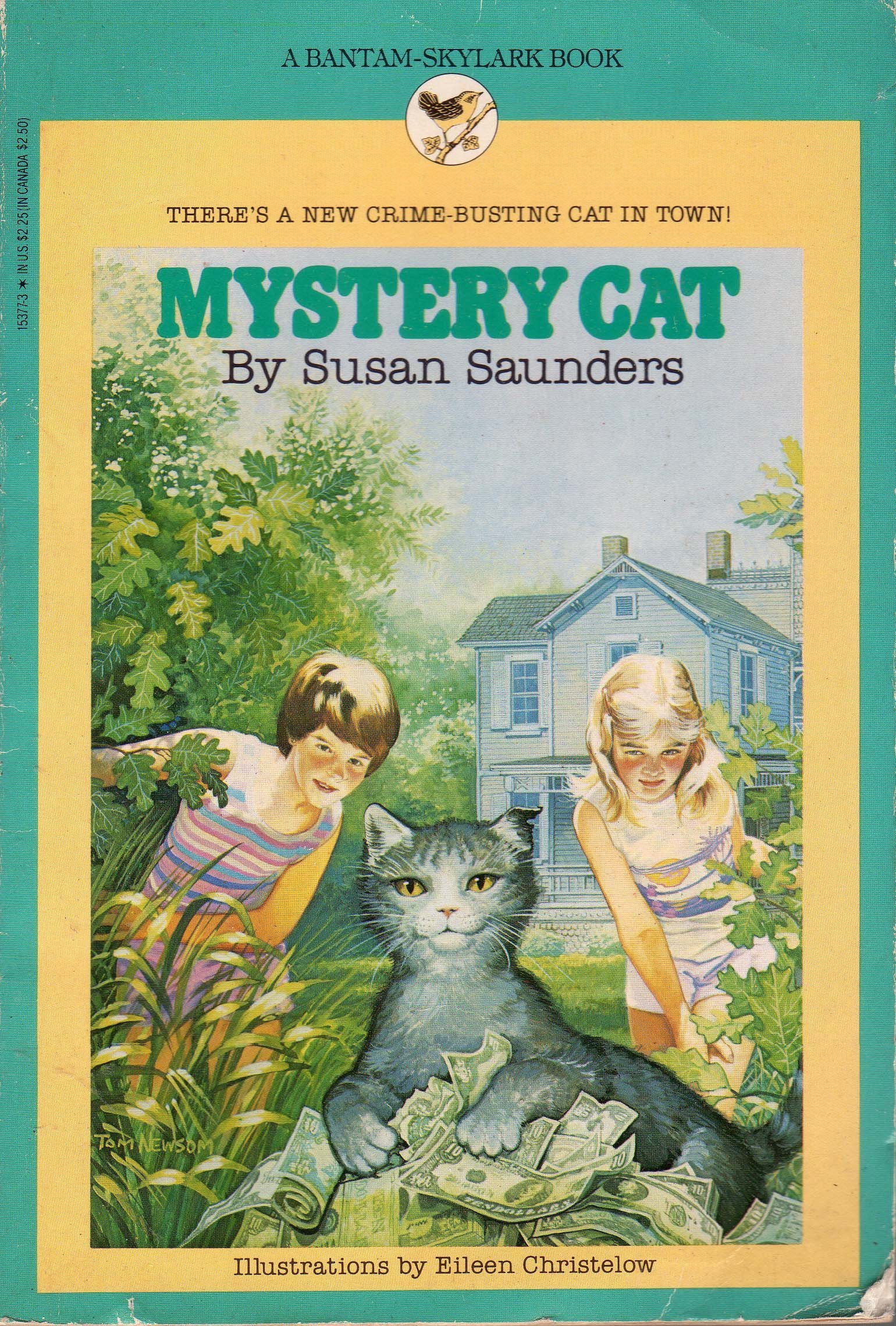 Mystery Cat book cover