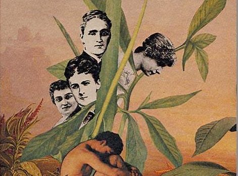 Sé sabia book cover