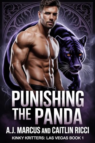 Punishing the Panda book cover