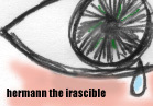 Hermann the Irascible book cover