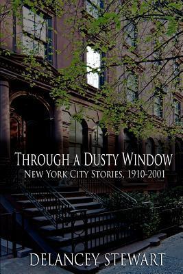 Through a Dusty Window book cover