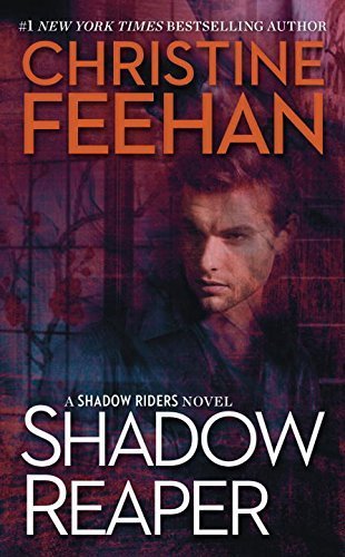 Shadow Riders book cover 2