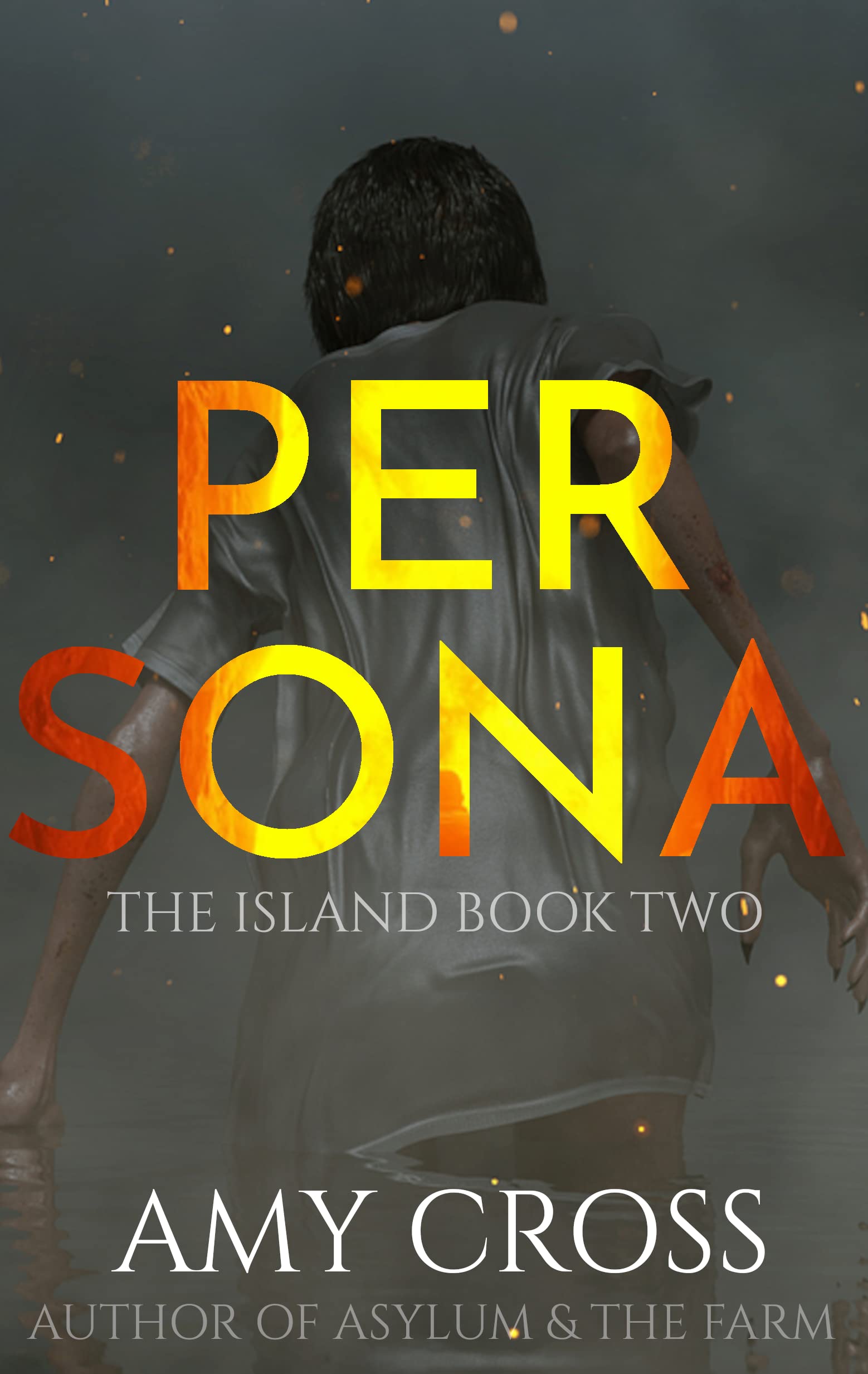 Persona book cover