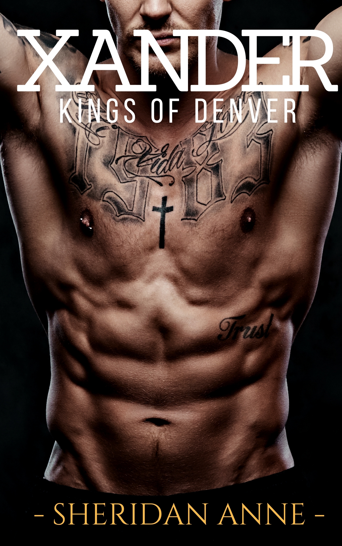 Kings of Denver book cover 3